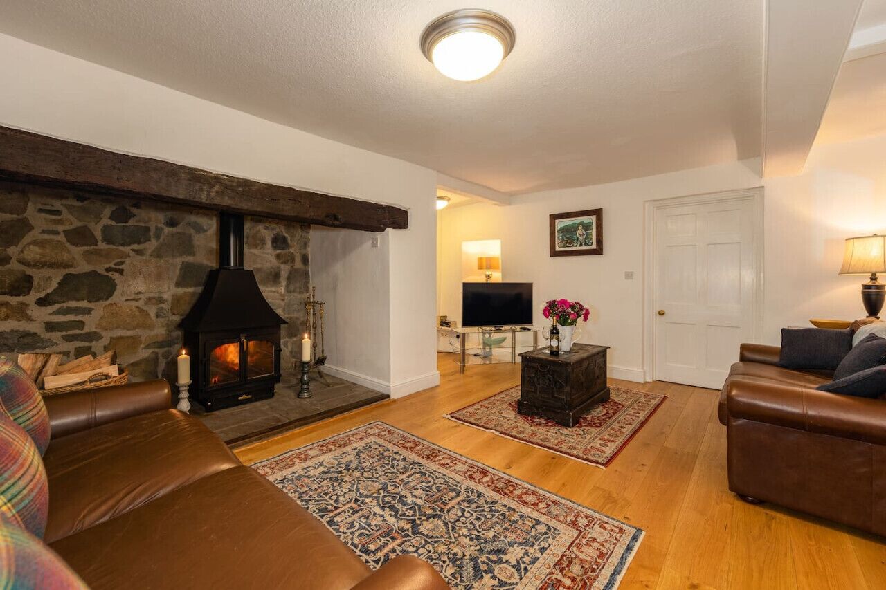 TV, fireplace