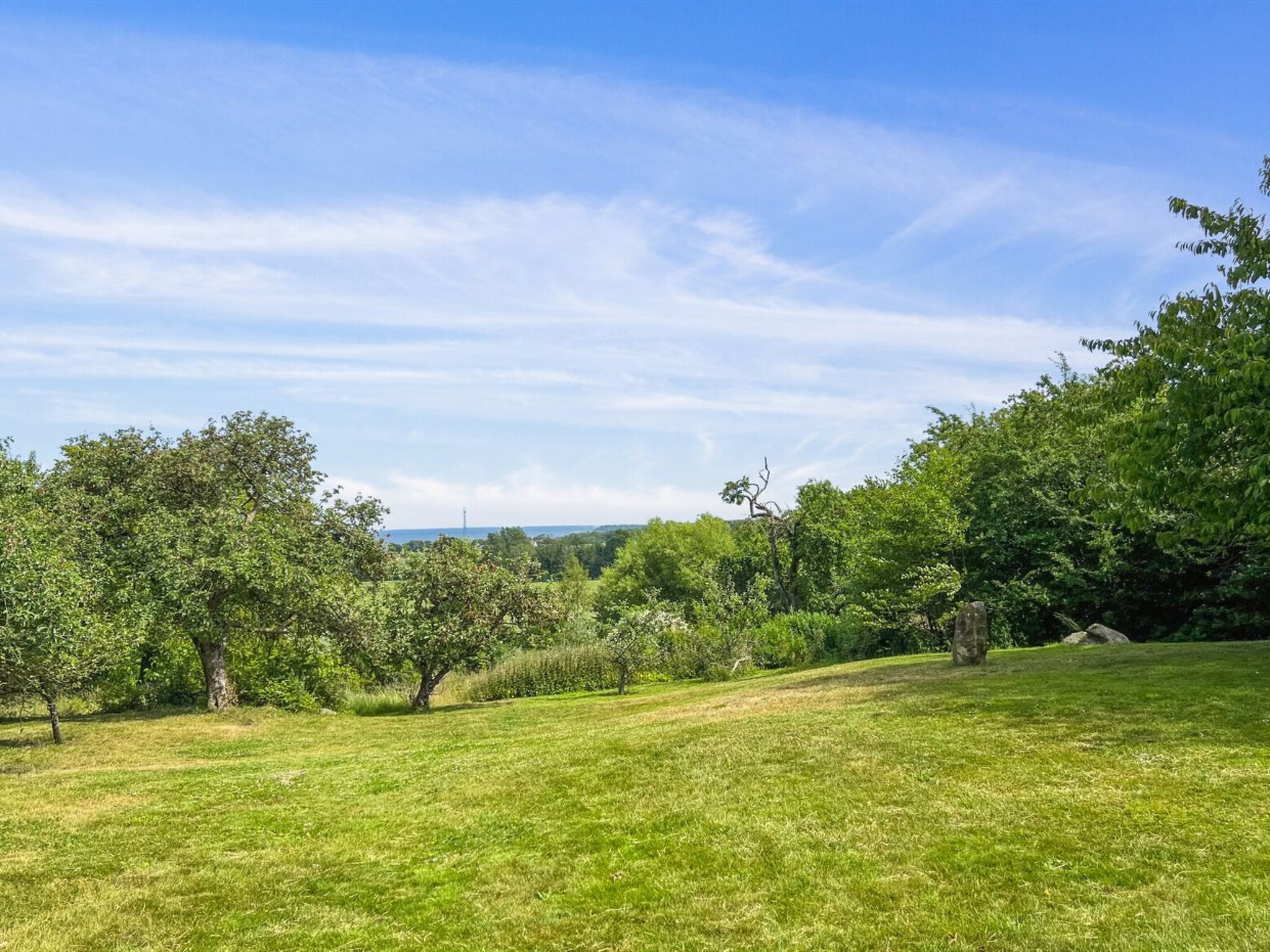 A grassy field with trees and a clear sky.