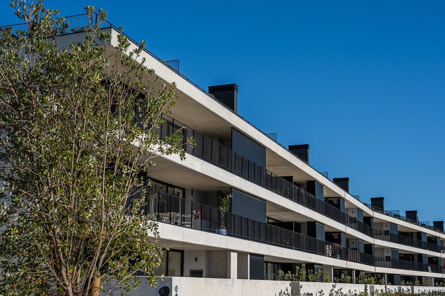 A multi-story residential building with balconies and a tree in the foreground.