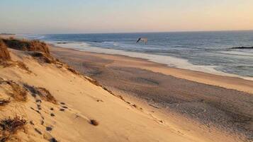 Ein sandiger Strand mit Fußspuren, die zum Wasser führen, ein fliegender Vogel und ein klarer Himmel.