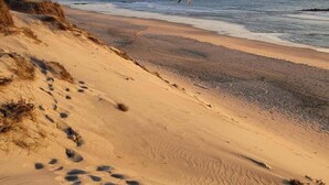Ein Strand mit Dünen und Fußspuren, die zum Wasser führen.