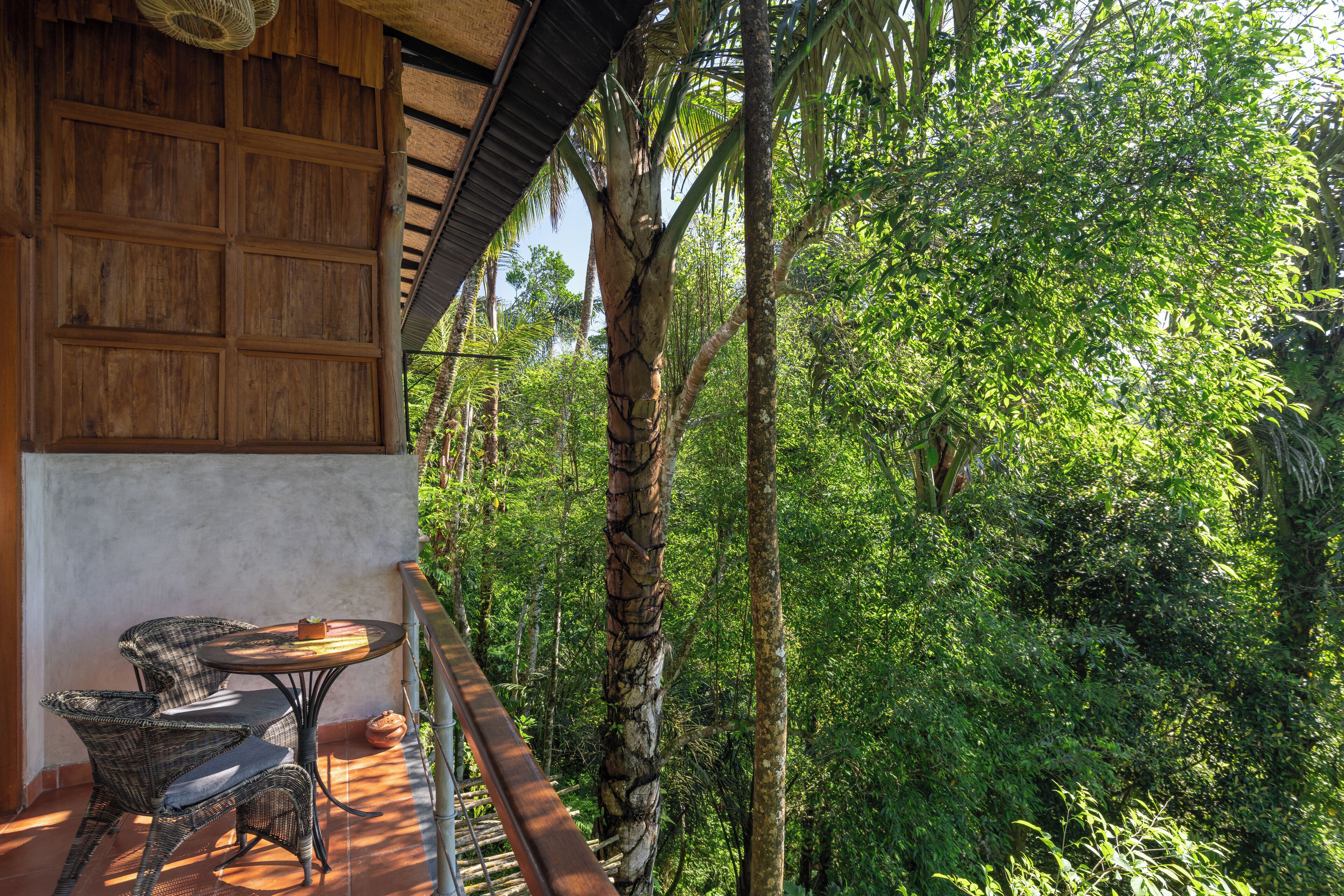 A wooden balcony with wicker furniture, overlooking a lush green forest.