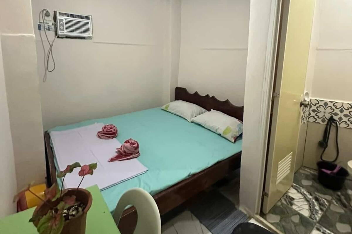 A small, compact room with a single bed, a small table with a potted plant, and a bathroom with a shower.