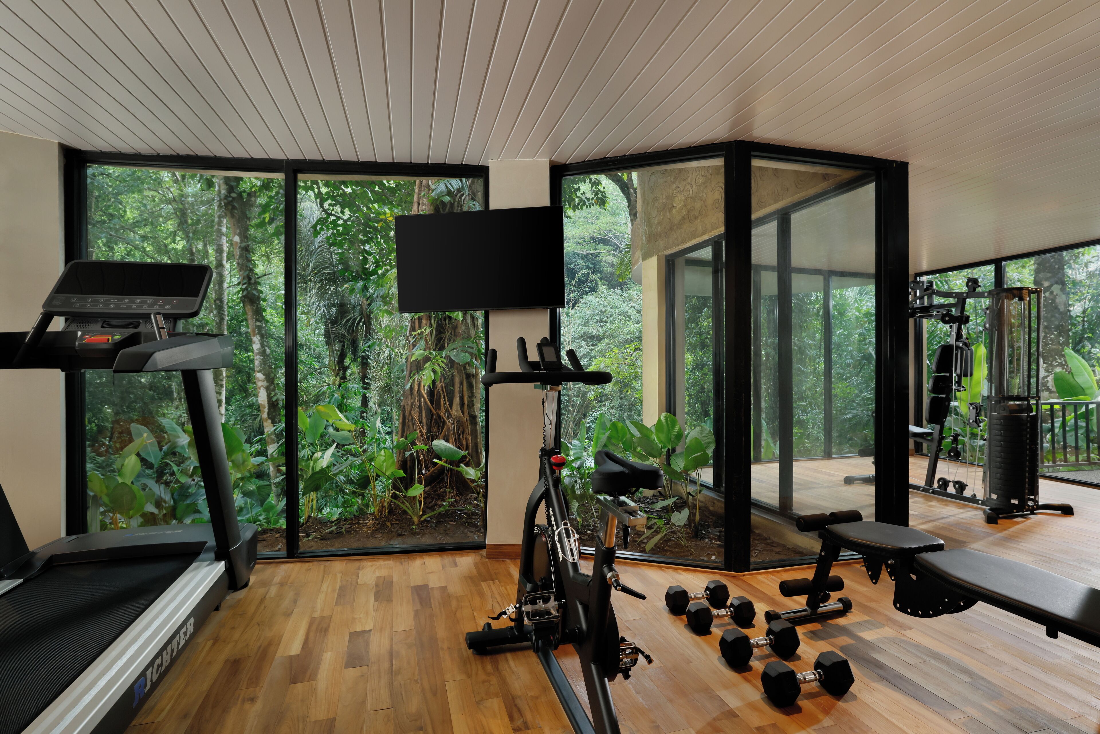 A modern gym with a treadmill, stationary bike, bench, and free weights.