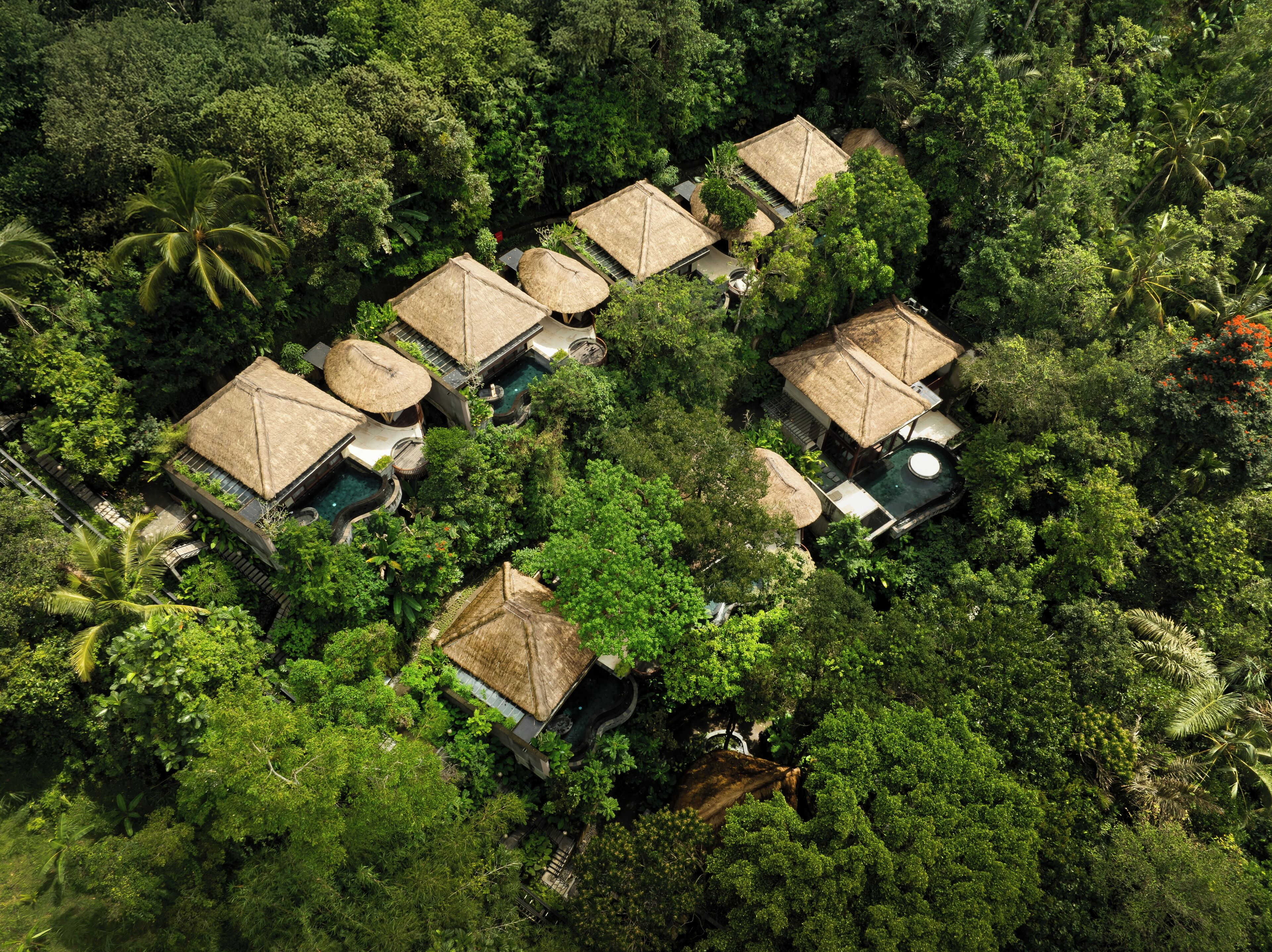 An aerial view of a resort with thatched-roof villas surrounded by dense tropical vegetation.