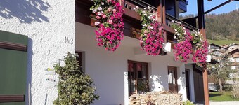 Apartment (1) 40sqm for max. 4 persons