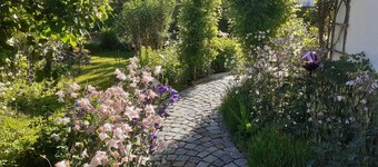 Apartment (1) 40sqm for max. 4 persons