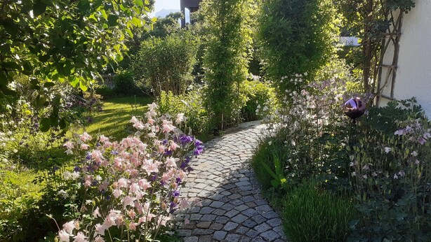 A stone pathway leading through a lush garden with various plants and flowers.