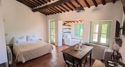 Il Plumbago - Elba Affitti