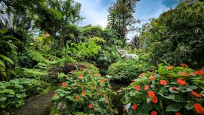 A lush garden with dense foliage, a variety of plants, and a large elephant statue. - Puri Karang Residence (Tembuku)