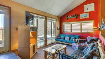 TV, fireplace, video games, DVD player