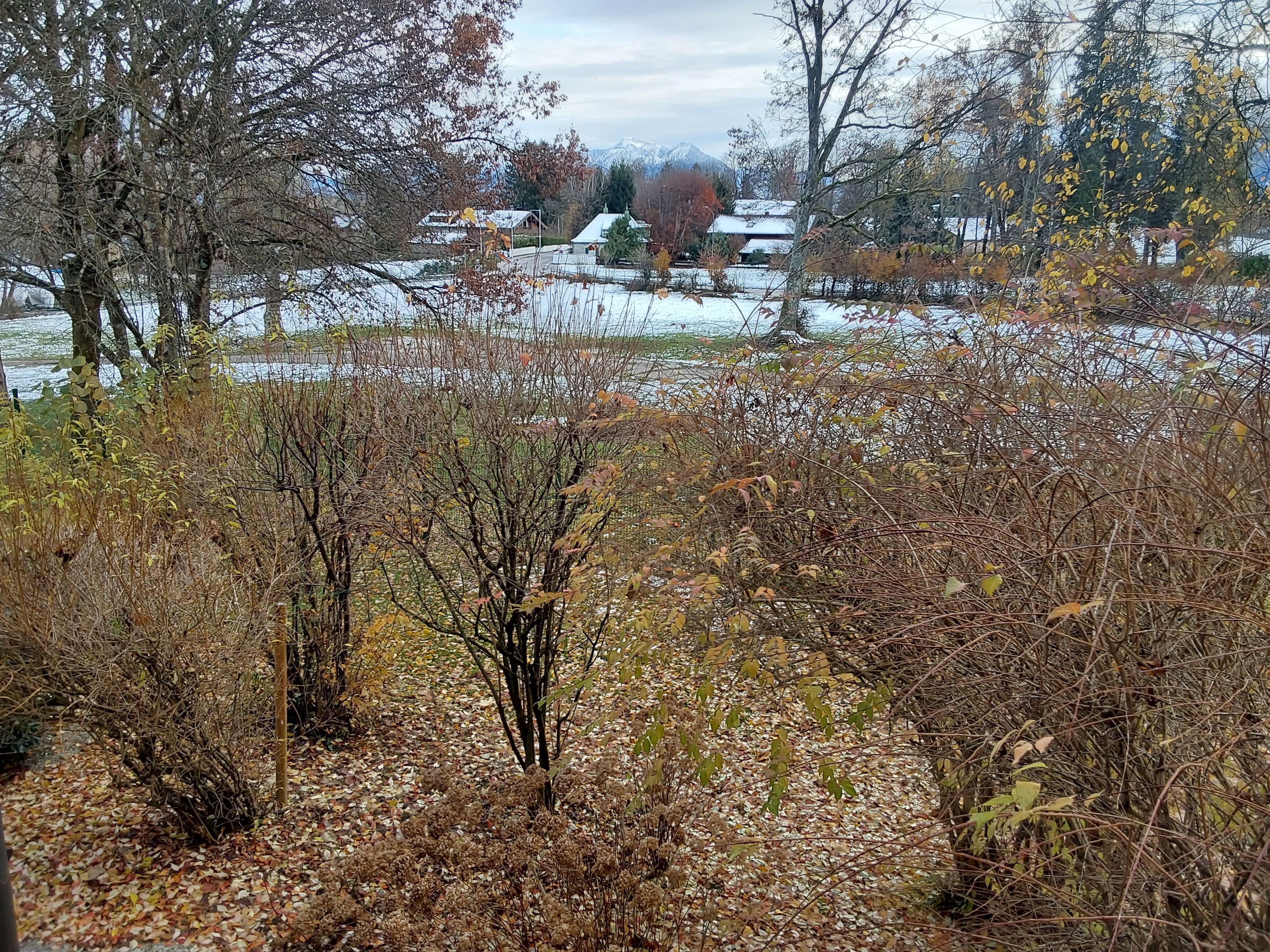 A residential area with houses, trees, and a snowy landscape.