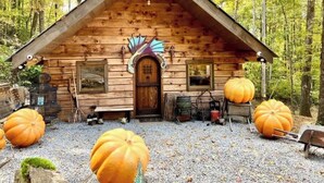 Property grounds - Magical Caretaker’s Cabin with Loft, Firepit, Petting Zoo & Wizarding Charm (Hayesville)