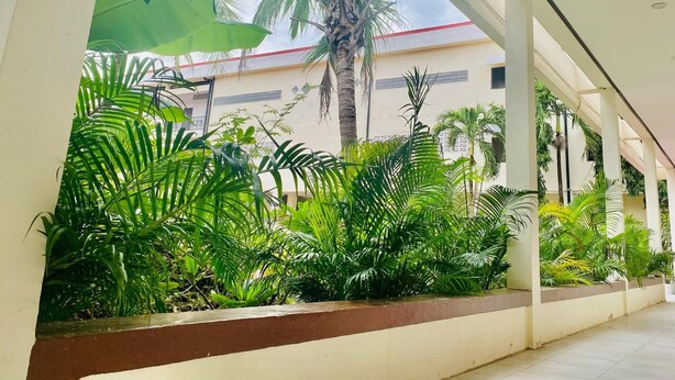 A covered outdoor area with lush greenery and a building in the background. - Peaceful Hotel (Vientiane)