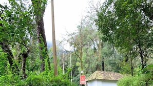 A narrow, paved path flanked by lush greenery and a small building with a tiled roof. - Green Mountain Resorts (Vythiri)