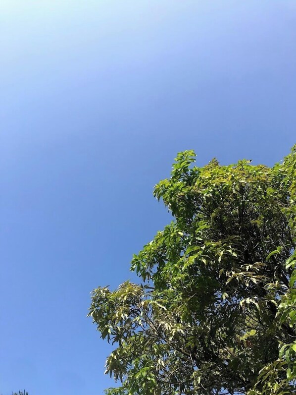 الغرفة