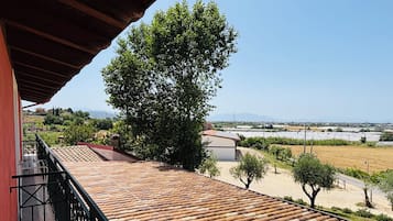 Suite monolocale, bagno privato, vista cortile | Vista dalla camera