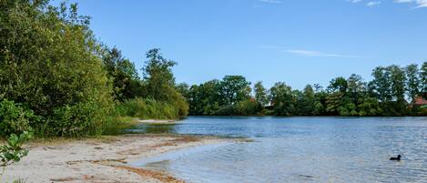 A riverbank with a sandy path leading to the water, surrounded by dense greenery and trees.