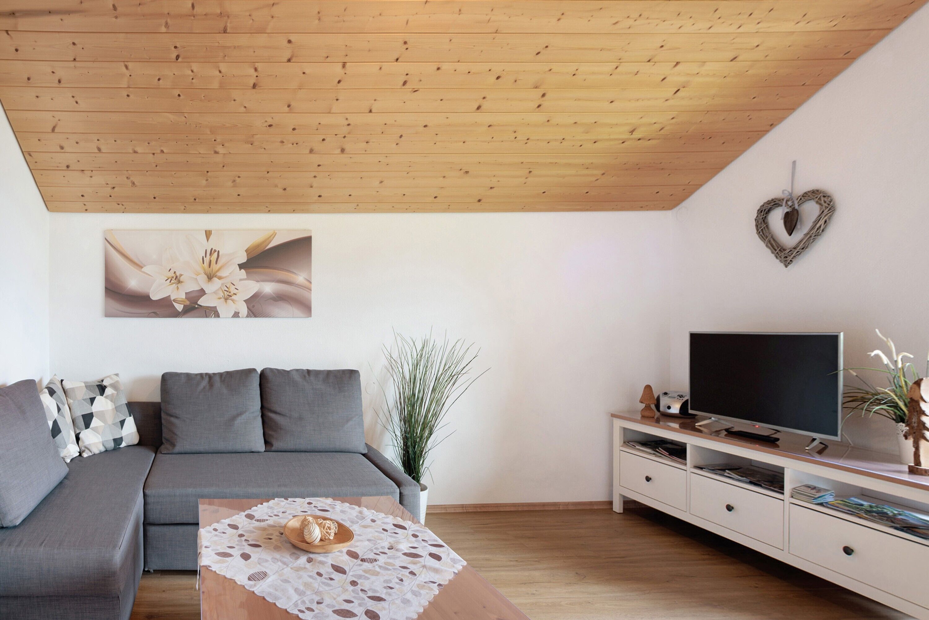 テレビ、ステレオ