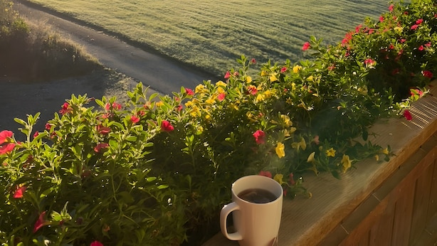 A view of a rural landscape with a wooden fence, flowering plants, and a mug on the railing.