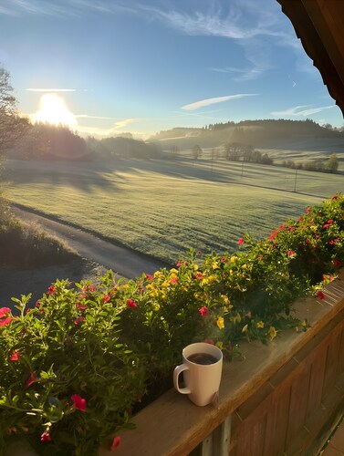 Ferienwohnung 'Waldblick' mit Gemeinschaftsgarten, Balkon und Wi-Fi