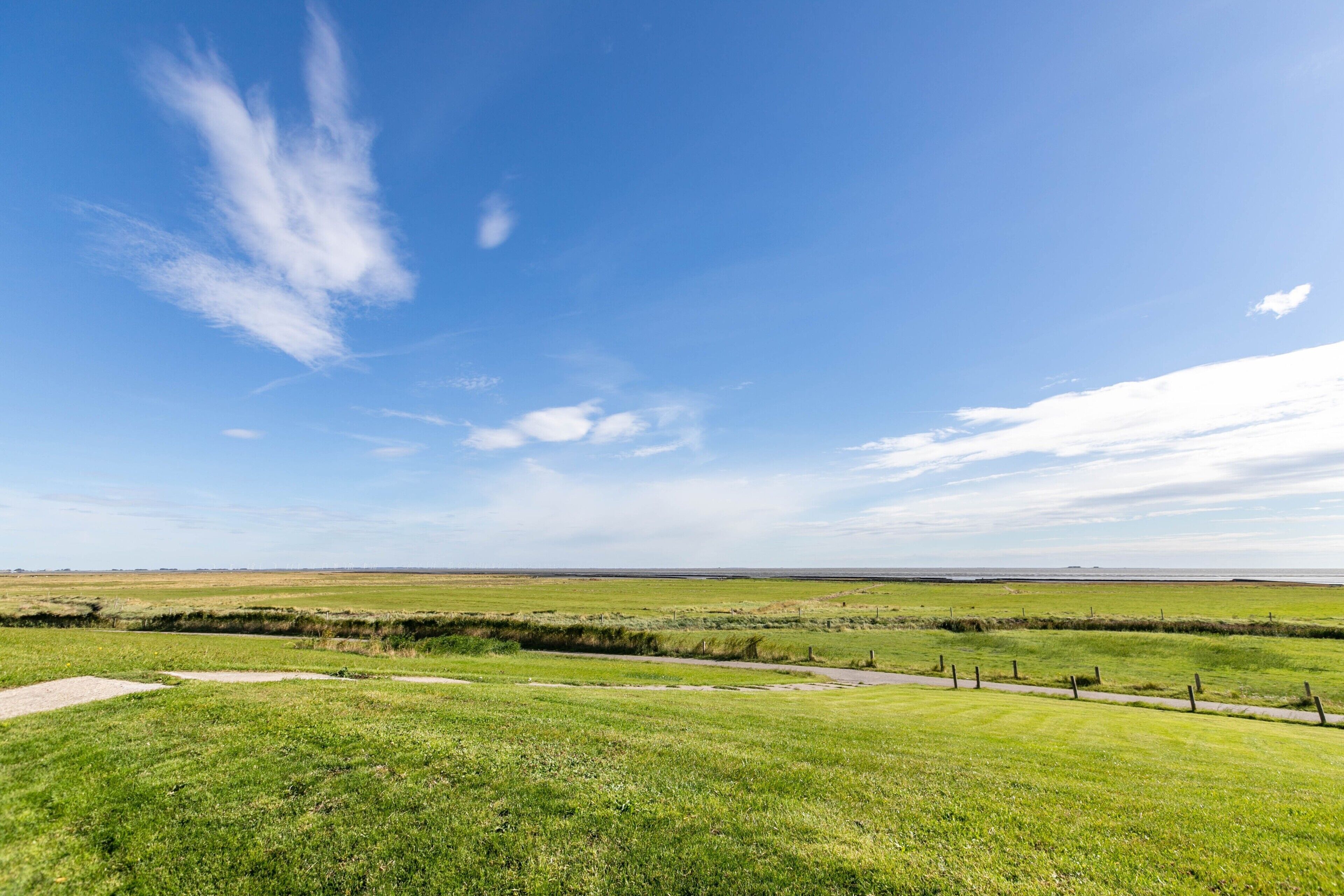 A wide-open field with a clear sky and distant horizon.