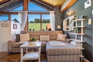 Fernseher, Stereoanlage