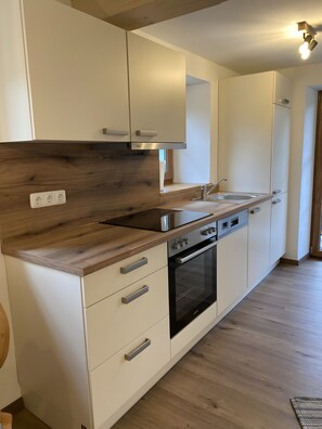 Fridge, oven, stovetop, dishwasher