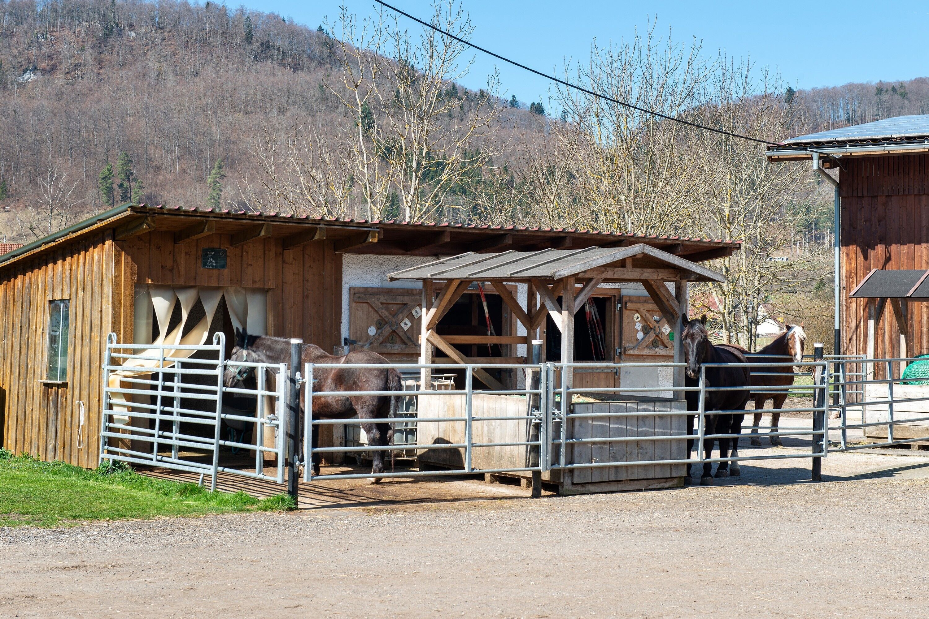 A stable with horses, a wooden building, and a fenced area.
