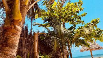 On the beach, white sand