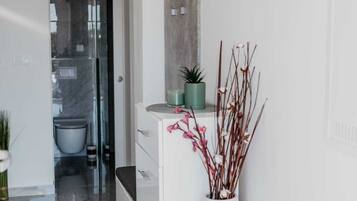 Apartment (Two Bedroom Apartment with Terrace) | Interior