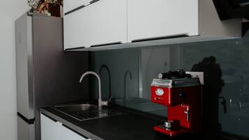 Apartment (Two Bedroom Apartment with Terrace) | Private kitchen