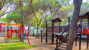 Un parque infantil con diversas estructuras de juego, incluyendo un tobogán y columpios, rodeado de árboles y suelo de arena.