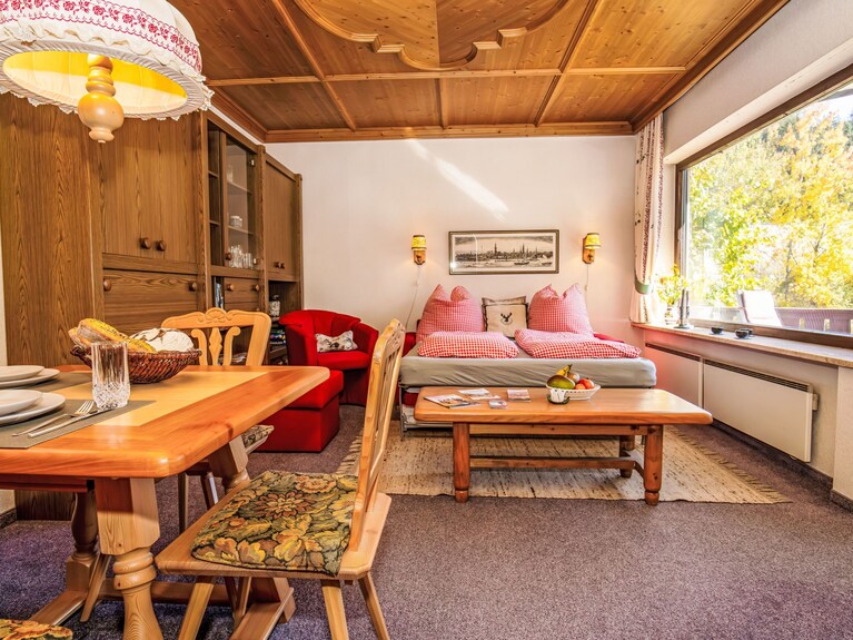 Dachstein Top 12 By Interhome - Flachau