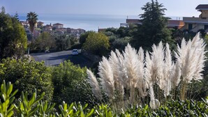 Un área residencial costera con una carretera, casas y vistas al mar.