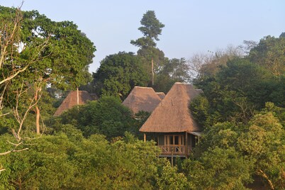 Bugoma Jungle Lodge