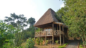 Een houten constructie met rieten dak, omgeven door groen en een grindpad.