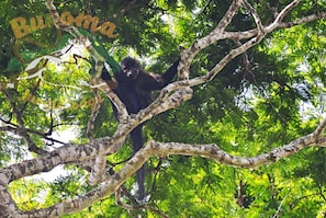 Ecotours