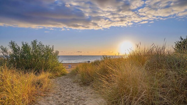Een zandpad dat naar het strand leidt, met gras aan beide zijden.
