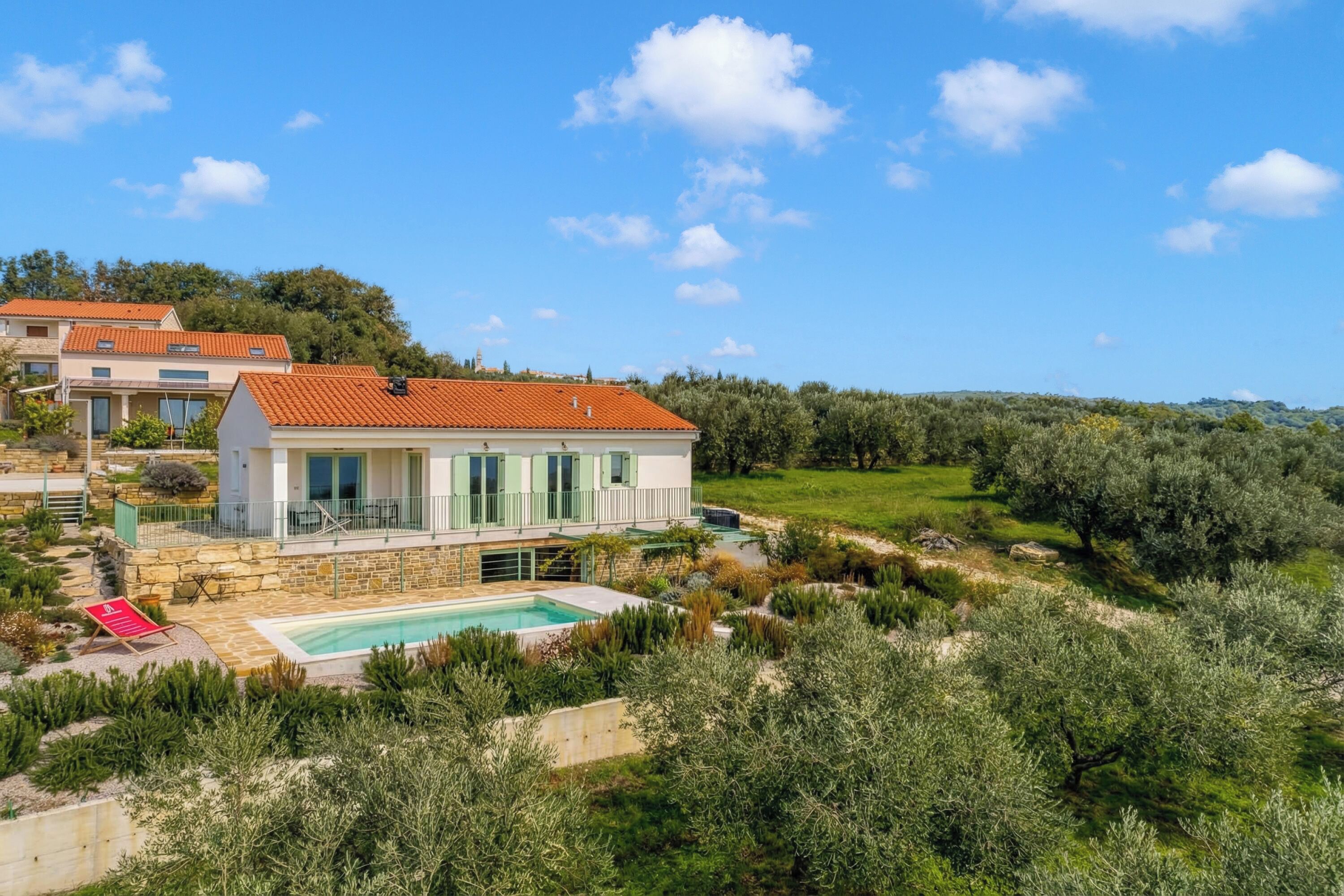 A modern villa with a swimming pool, surrounded by olive trees and a clear blue sky.
