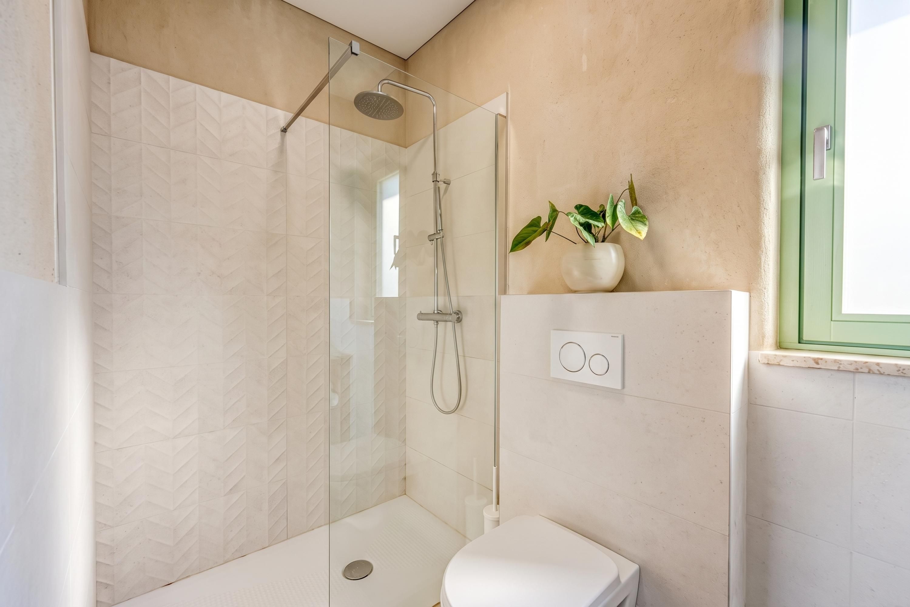 Et moderne badeværelse med en glasafskærmet brusekabine, et toilet og en potteplante på væggen.
