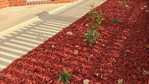 Une maison en briques avec une porte grise, une fenêtre et un petit jardin agrémenté de paillis rouge et de quelques plantes.