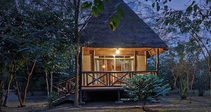 Ishasha Jungle Lodge