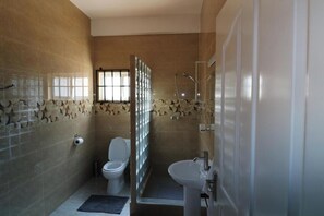 Shower, towels, soap, toilet paper - Le Ronce Villa: Two Bedroom Apartment (anse Royale)