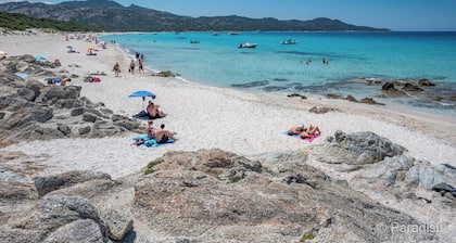 Sublime appartement refait neuf sur la plage de ST FLORENT Ă 5' du centre