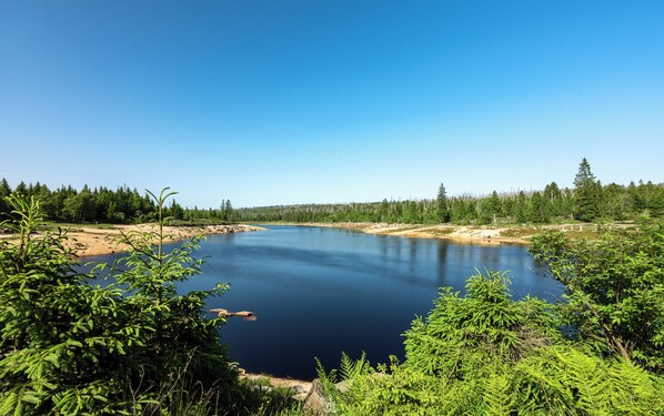 A calm lake surrounded by dense forest and clear blue sky.