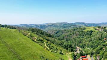 Ländliche Landschaft mit kurvenreichem Weg, grünen Feldern und verstreuten Häusern mit roten Dächern.