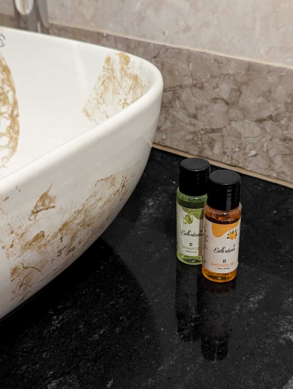 A bathroom sink with visible stains and two bottles of Earth Naturals shower gel on a black countertop.