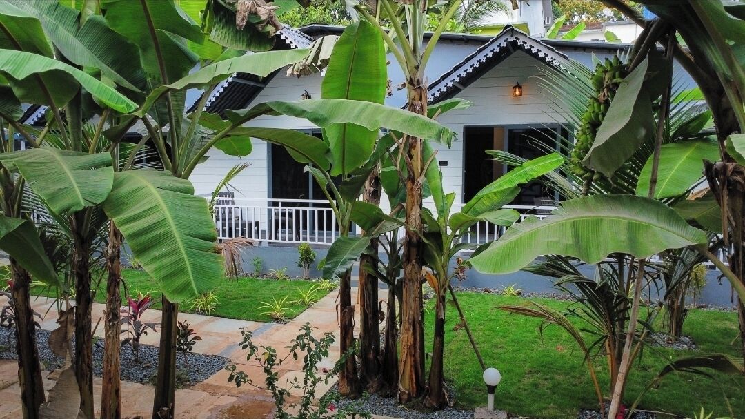 Un jardín con palmeras de plátano, un camino y un edificio con cerca blanca y techo de tejas.