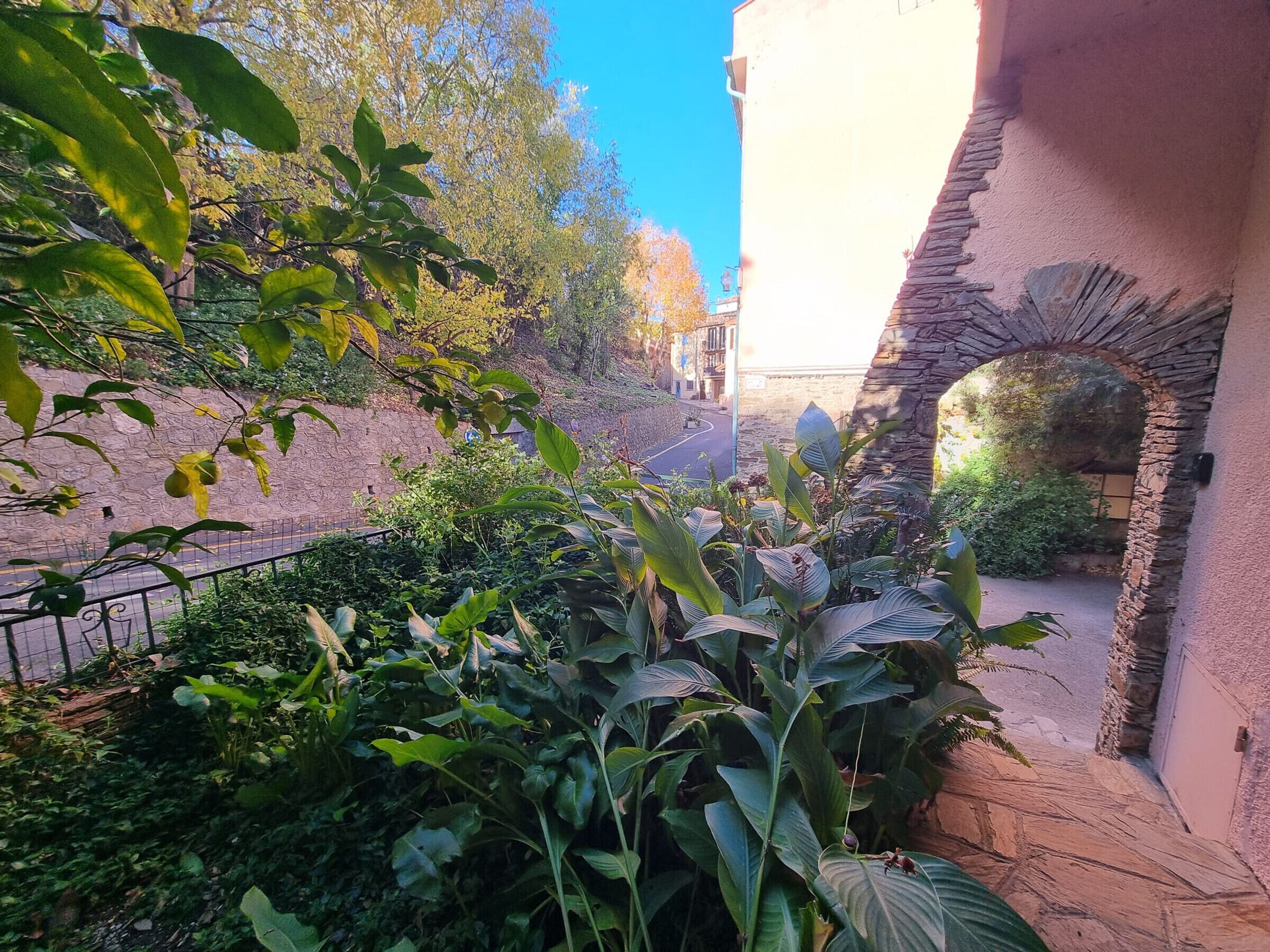 A courtyard with lush greenery, a stone wall, and a building with a stone archway.
